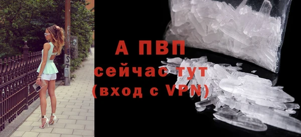 амф Арсеньев