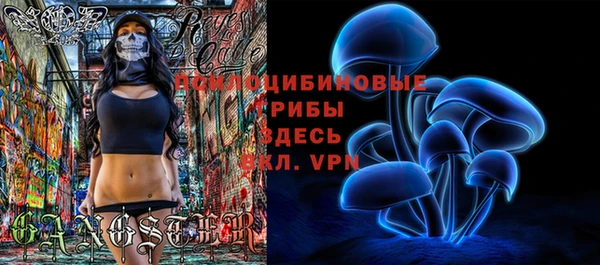 гидропоника Аркадак