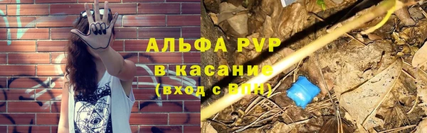 амф Арсеньев